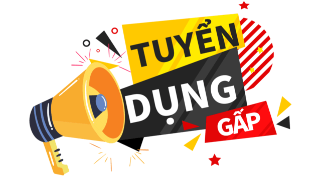 lĩnh vực hoạt động